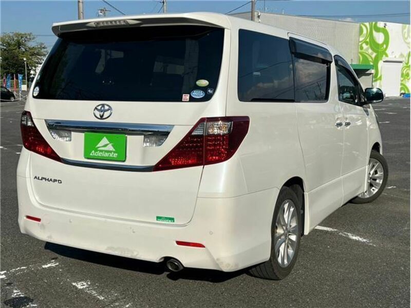 ALPHARD-49