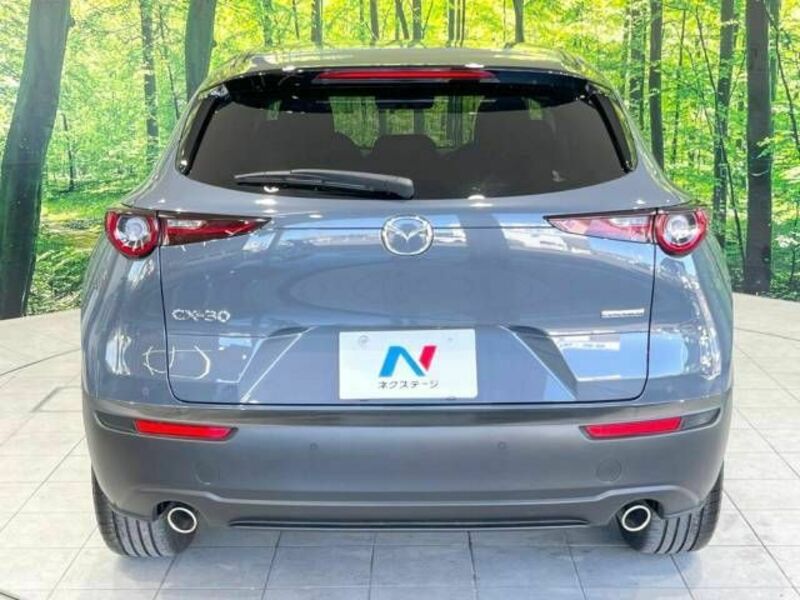 CX-30-15