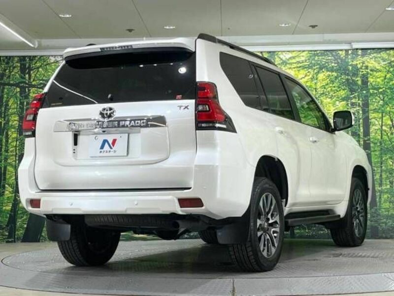 LAND CRUISER PRADO-18