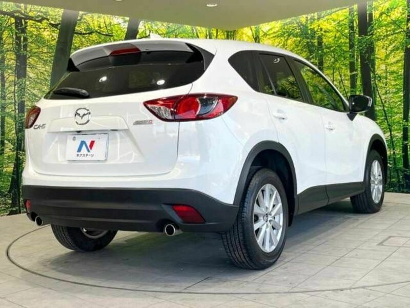 CX-5-17