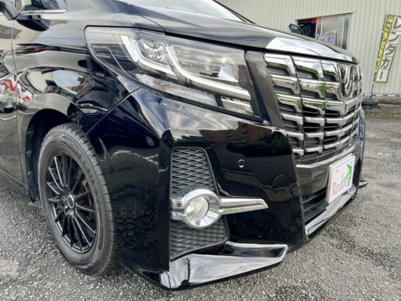 ALPHARD-15