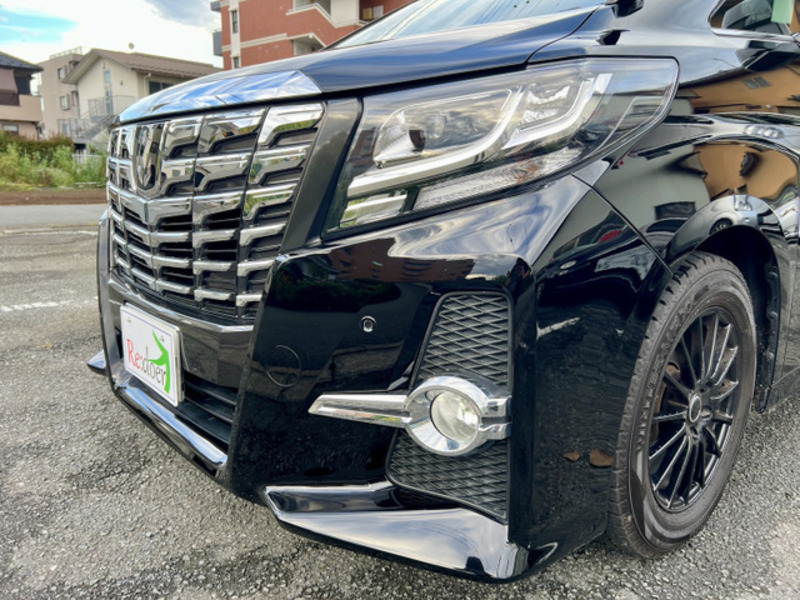 ALPHARD-16