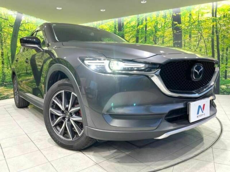 CX-5-12