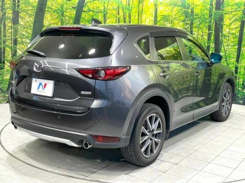 CX-5-17