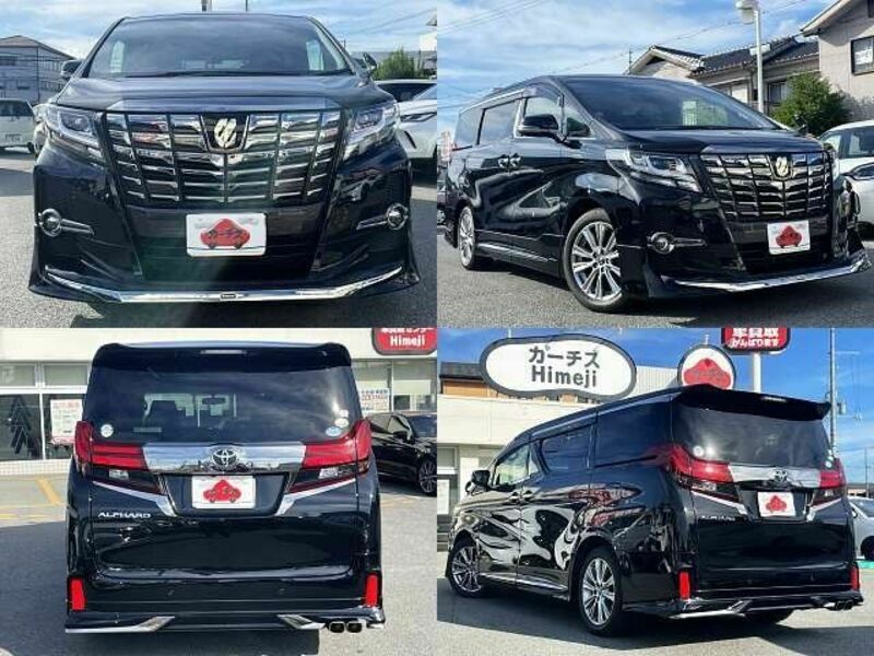 ALPHARD-7