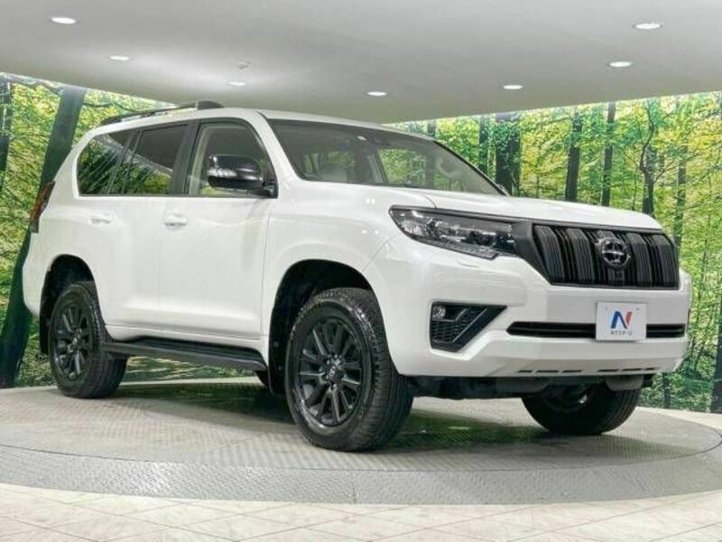 LAND CRUISER PRADO-17