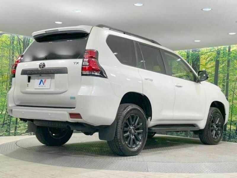 LAND CRUISER PRADO-18