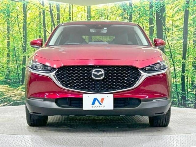 CX-30-14