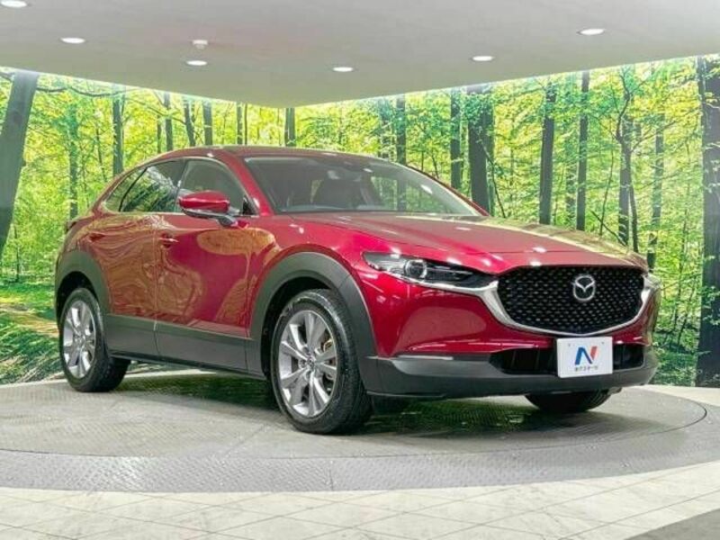 CX-30-16