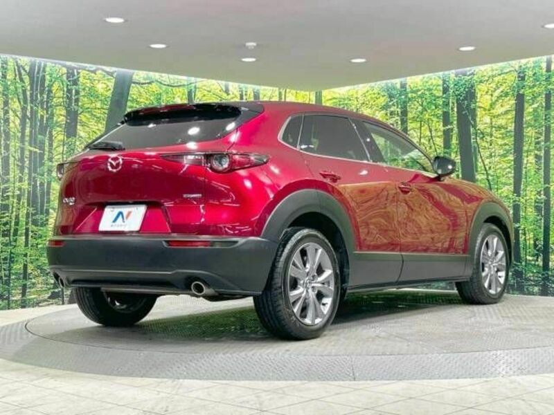 CX-30-17