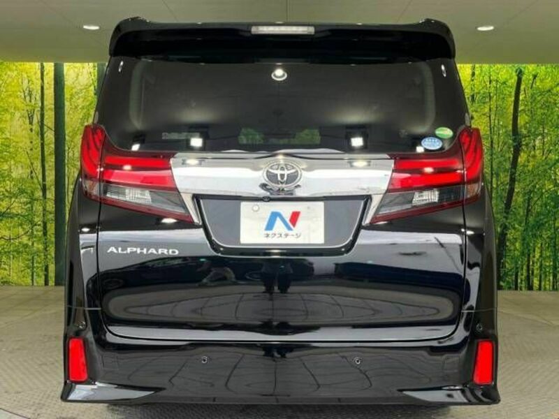 ALPHARD-16