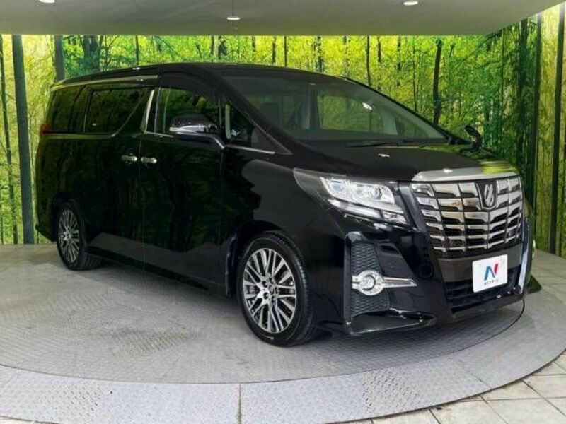 ALPHARD-17