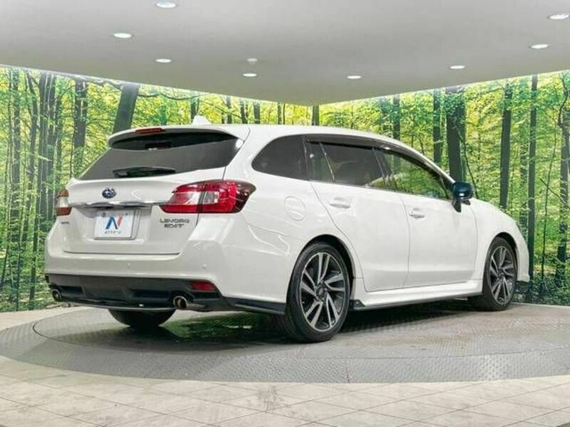 LEVORG-17