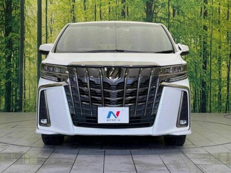 ALPHARD-15