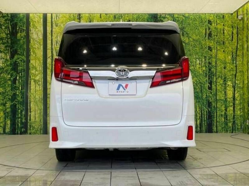 ALPHARD-16