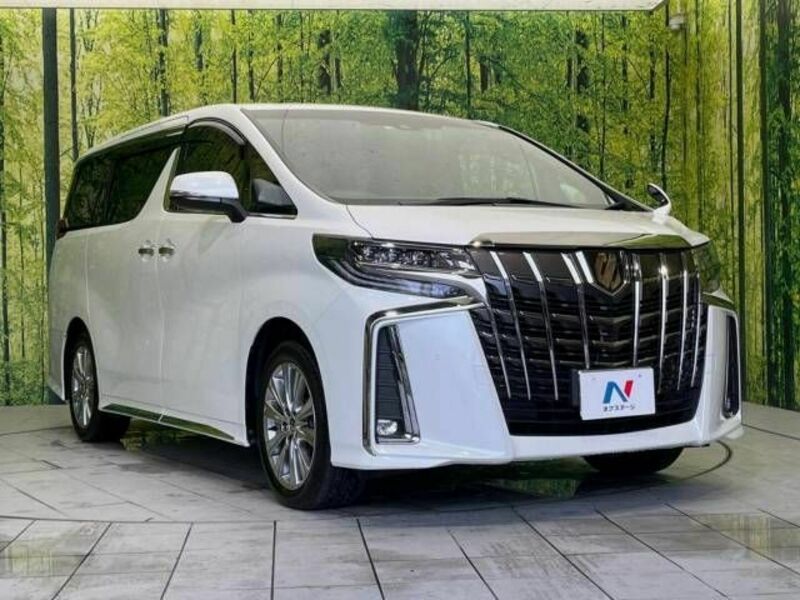 ALPHARD-17