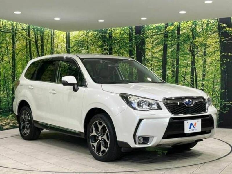 FORESTER-16