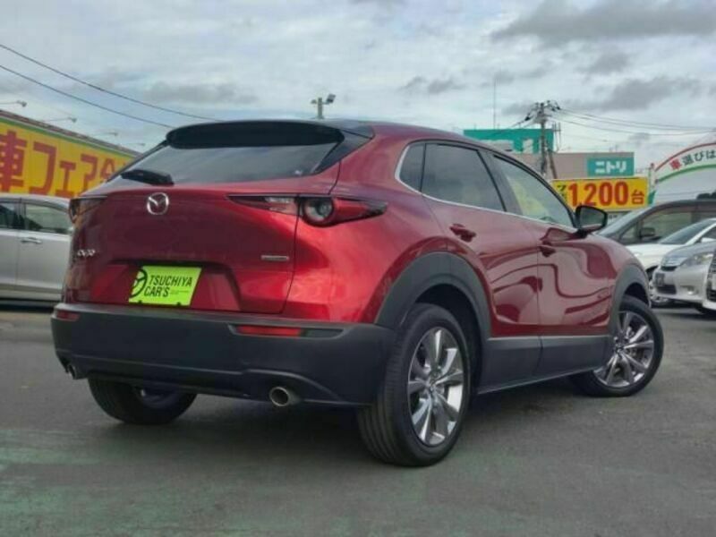 CX-30-1