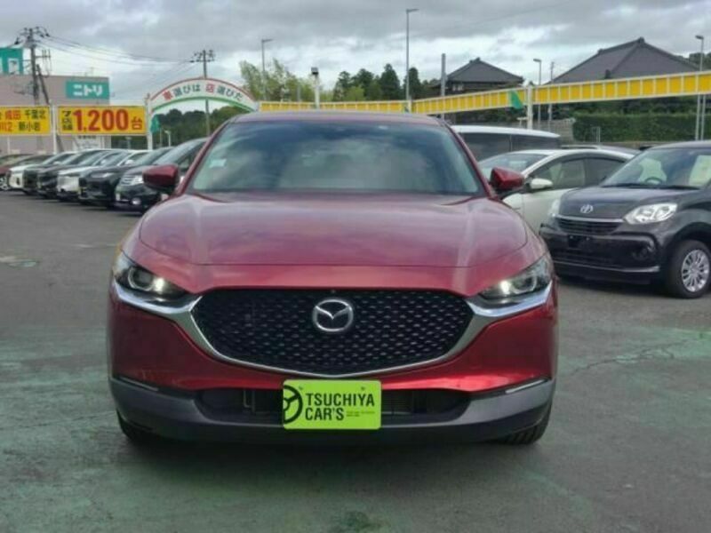 CX-30-8