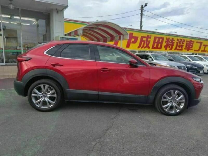 CX-30-10