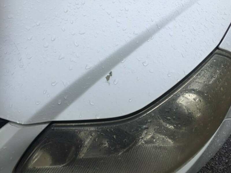 SX4