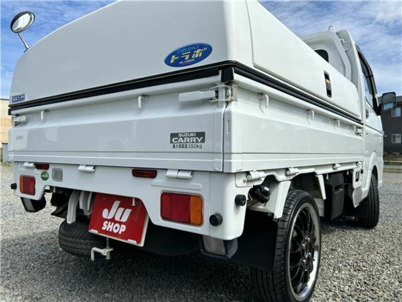 CARRY TRUCK-11