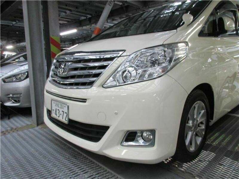 ALPHARD-13