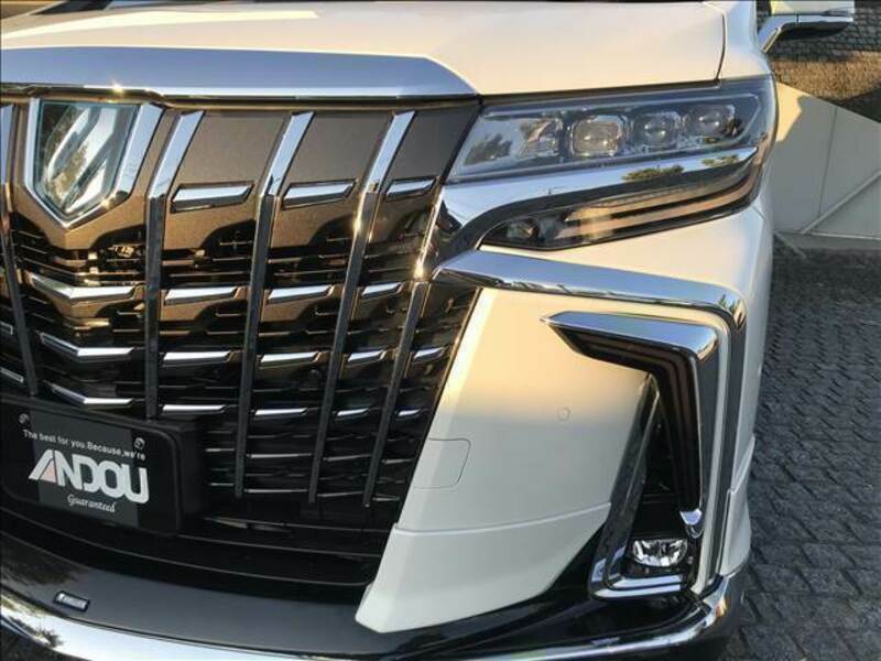 ALPHARD-7