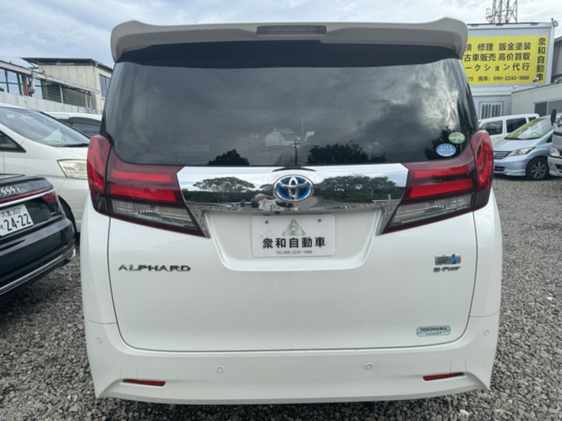 ALPHARD-3