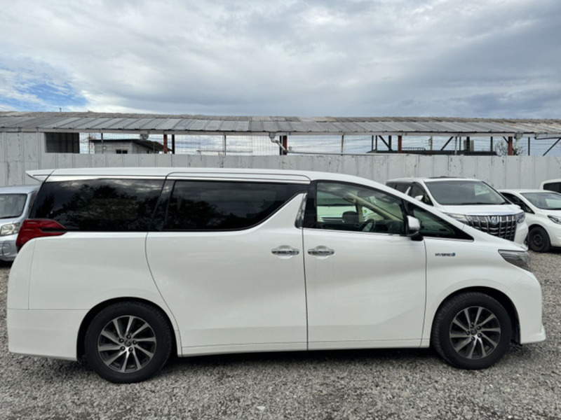 ALPHARD-6