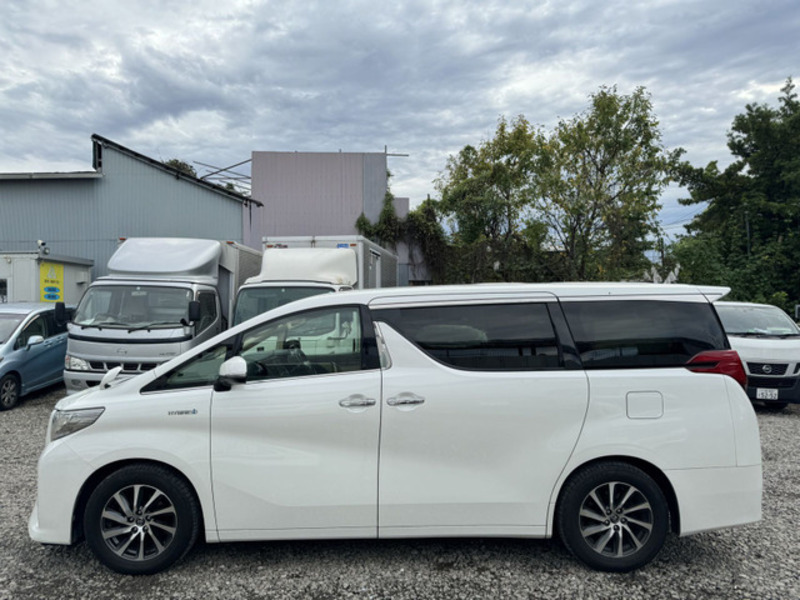 ALPHARD-7