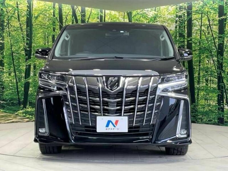 ALPHARD-15