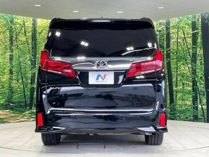 ALPHARD-16