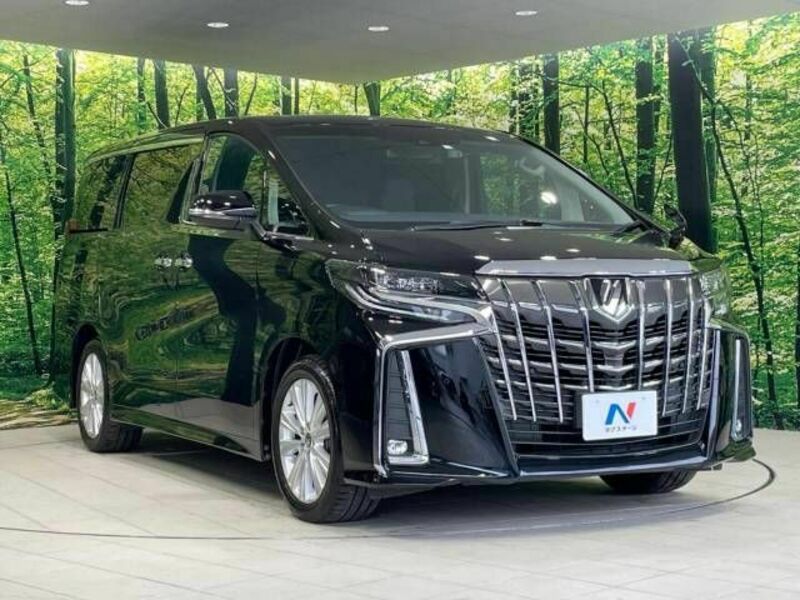 ALPHARD-17