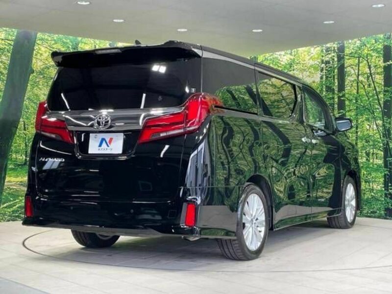 ALPHARD-18