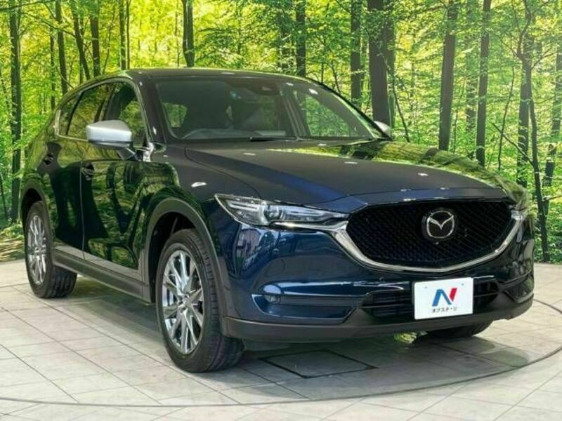 CX-5-17