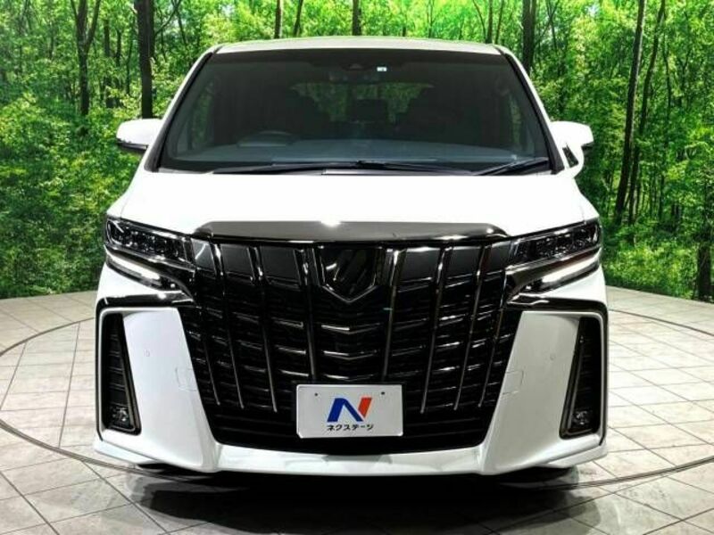 ALPHARD-16