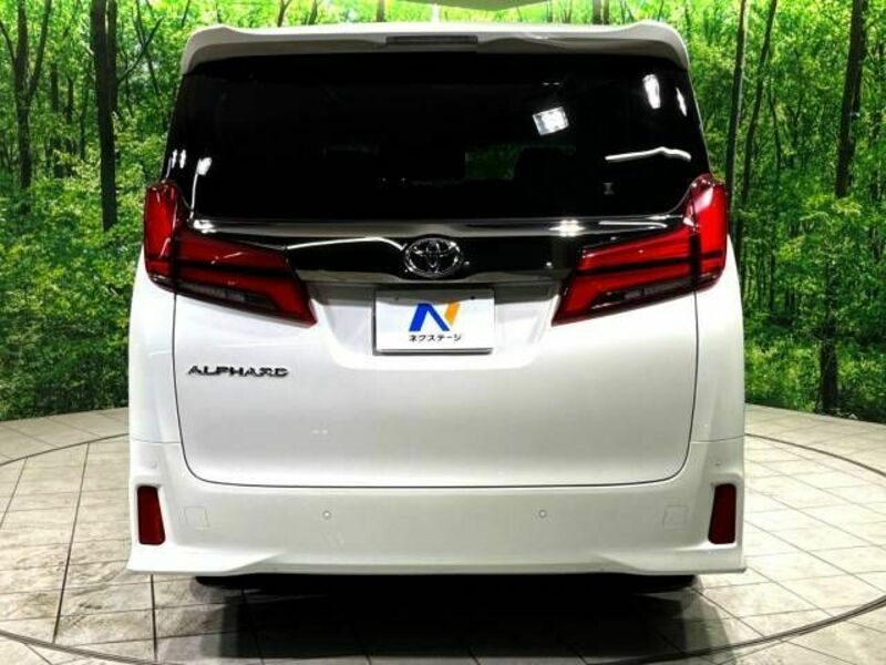 ALPHARD-17