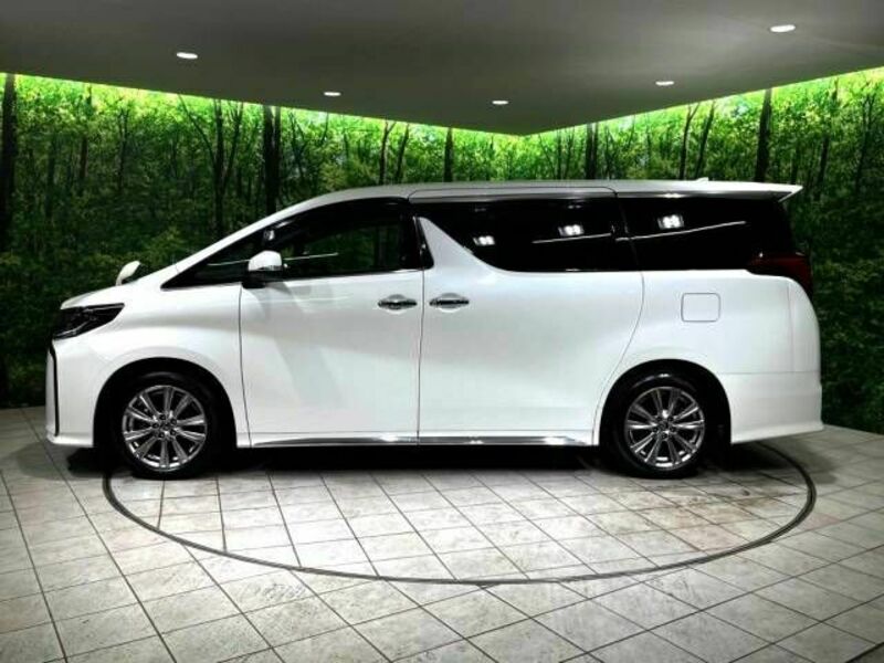 ALPHARD-18