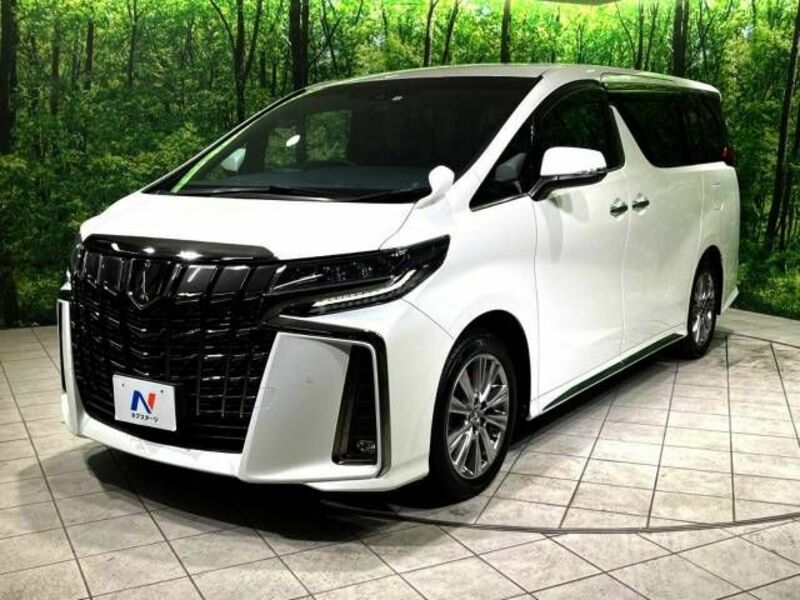 ALPHARD-19