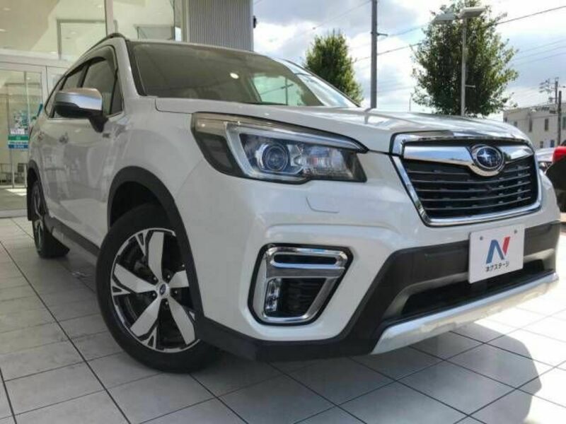 FORESTER-16