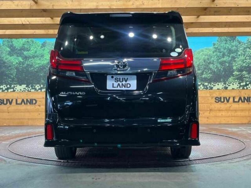 ALPHARD-16