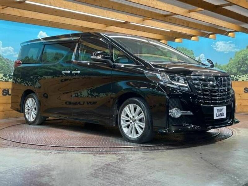 ALPHARD-17