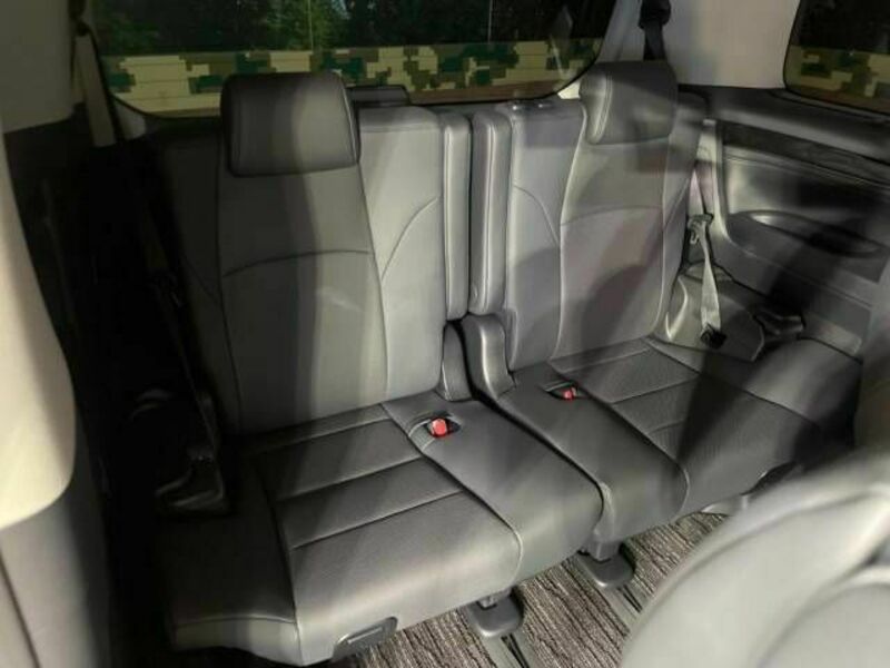 ALPHARD-10