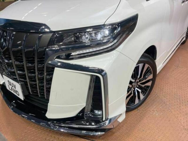 ALPHARD-12