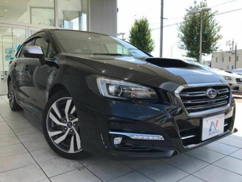 LEVORG-17