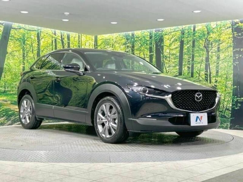 CX-30-16