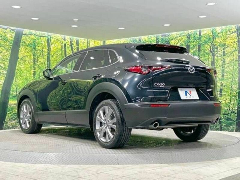 CX-30-17