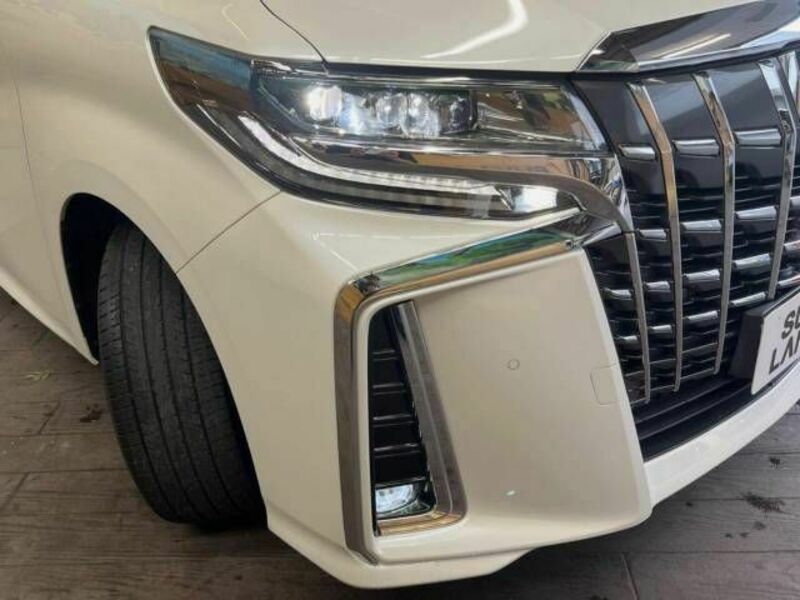 ALPHARD-12