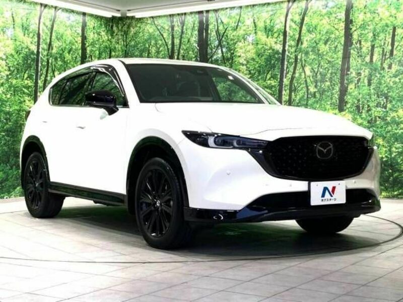 CX-5-16